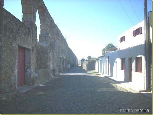 DSCN1015 DSCN1015
