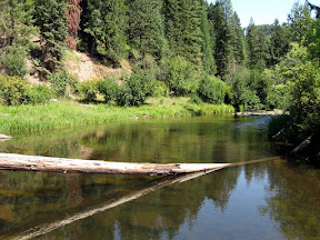 palouse river near NF-292 rd, idaho
