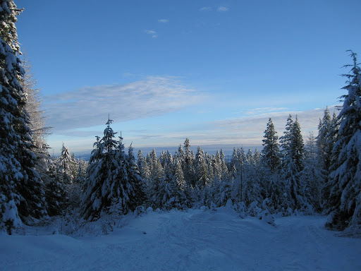 telemark