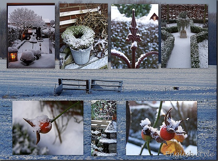 Blogfoto's 109