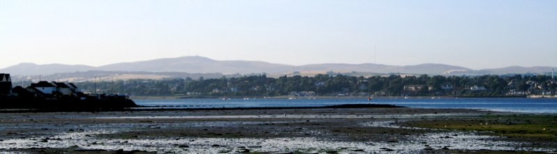 IMG_1334.jpg