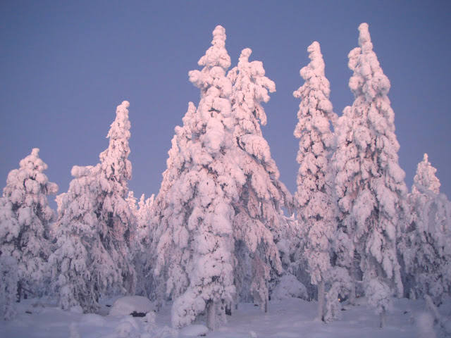 ounasvaara%20bleu%20015.jpg