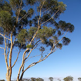 Autumn in Melbourne 2010