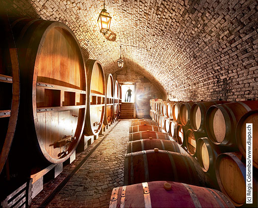 Château de Vufflens - La Côte AOC