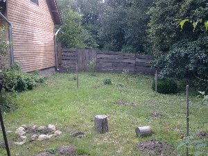 Kép