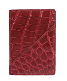 Analeena - Card Holder Crocodile