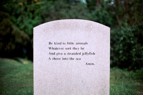 Be Kind To Animals - We Heart It