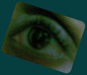 23112009(012) 23112009(012)