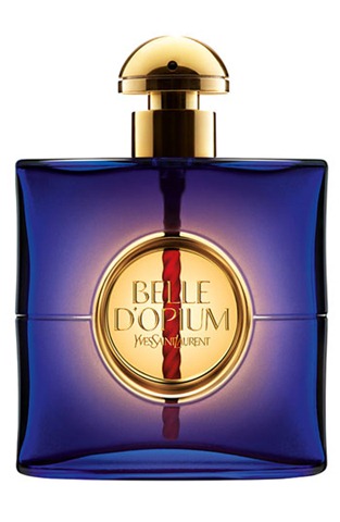 [ysl[3].jpg]