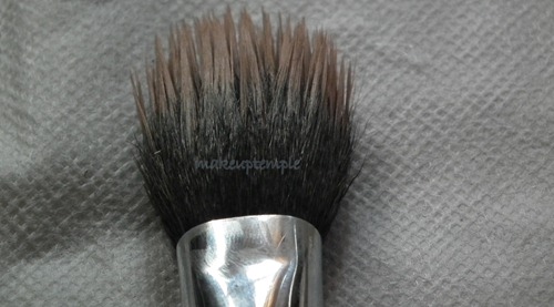 sigmabrush8 sigmabrush8