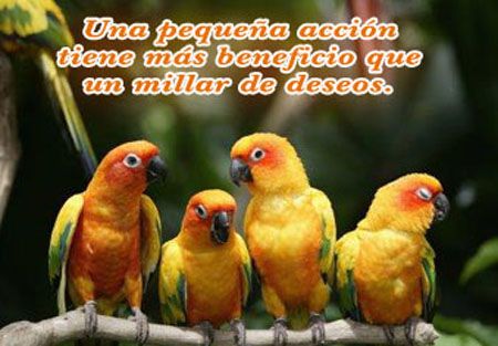 Lindas postales para enviar gratis