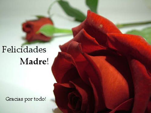 Postales hermosas para mamá