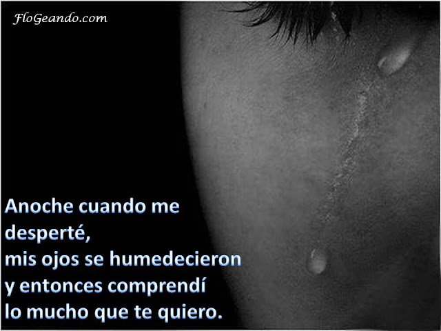 Frases de Amor