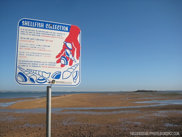 [800shellsign[3].jpg]