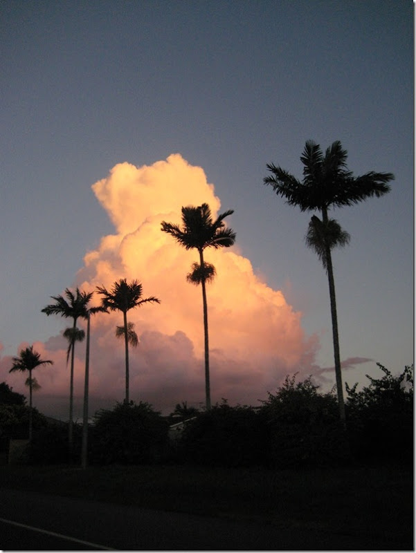 800cloud