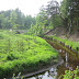 The land around my guesthouse in Padise Estonian%20bike%20trip%20017