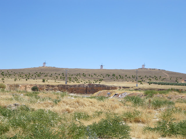 IMGP0264.JPG