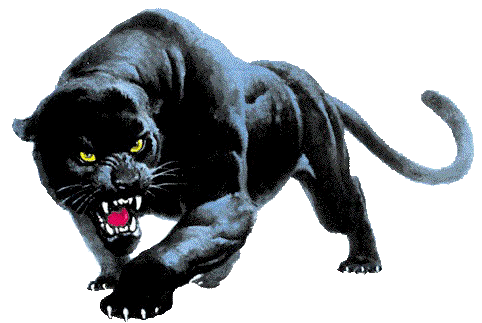 [Clear Stalking Panther[5].gif]