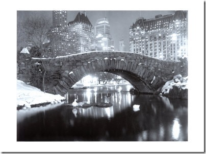 central park winter