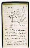 Transmutation Notebook B, Tree of Life