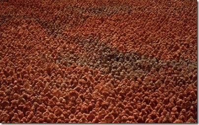American Field, Antony Gormley (1991) American Field, Antony Gormley (1991)