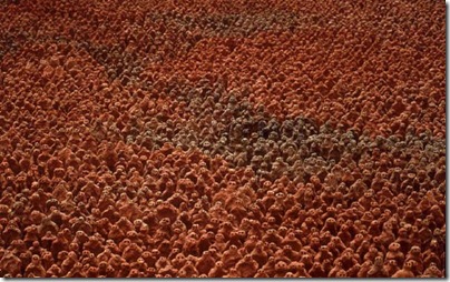 American Field, Antony Gormley (1991)