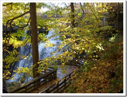 Brandywine Falls