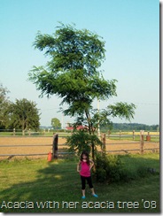 Acacia with her tree 08