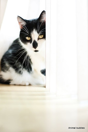 IMAGE: http://lh6.ggpht.com/_kjJaNzHgeY0/TTV30nAuOpI/AAAAAAAAPN8/Gdik9mLA4Ko/s512/IMG_0338-Edit-7.jpg