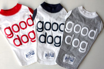 犬用の新作Tシャツ入荷