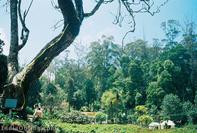 Kodaikanal