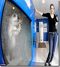 lavadora-perro2