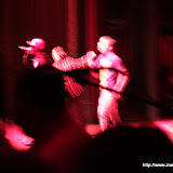 IMG_3495.JPG