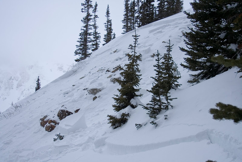 Crown Showing Layers