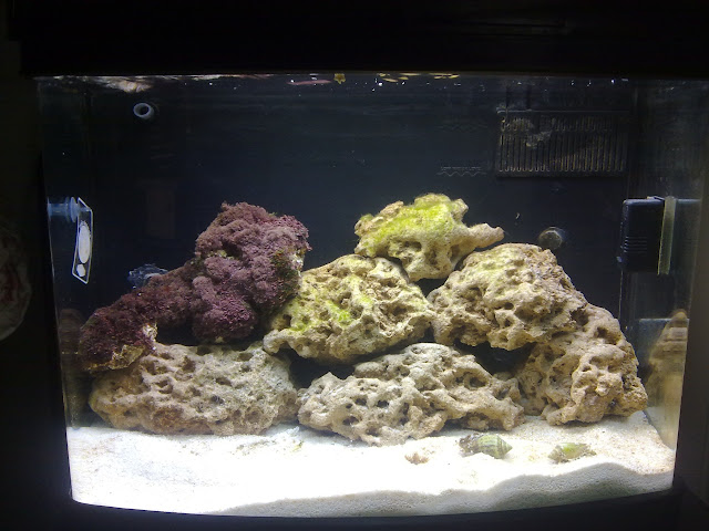 11012010157.jpg
