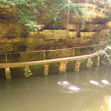 04.-06.06.10 Ragcu 067.jpg