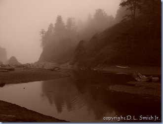 2008-08-18 #0765 - Ruby Beach in Olympic NP, WA