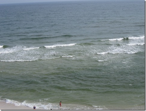 gulf shores may 2010 013