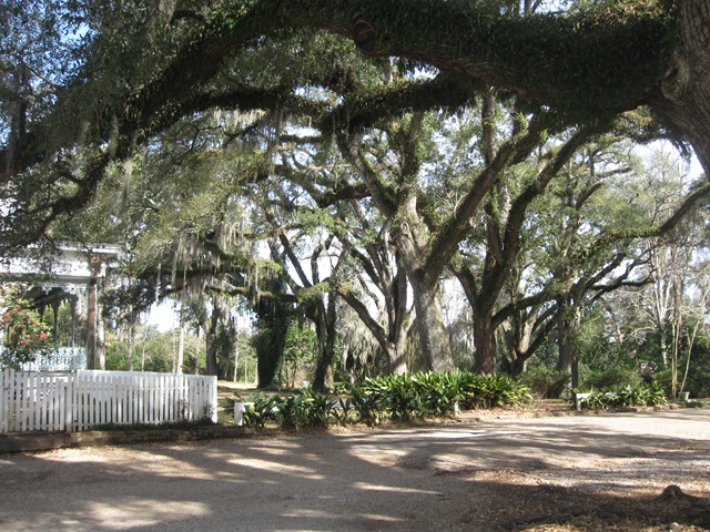 [THEMYRTLES0082.jpg]