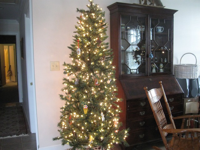 [lake christmas 2009 029.jpg]