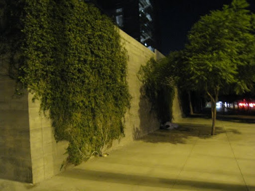 Sleeping+man+under+tree