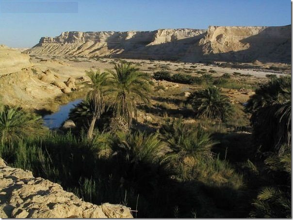 20 most incredible desert oasis26 20 most incredible desert oasis26