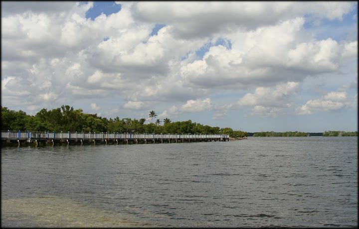 http://lh6.ggpht.com/_kwQNCqCi_5c/SWPQSDI-9jI/AAAAAAAAA10/UYeyTkVmG-Q/s720/Biscayne_SN4.JPG
