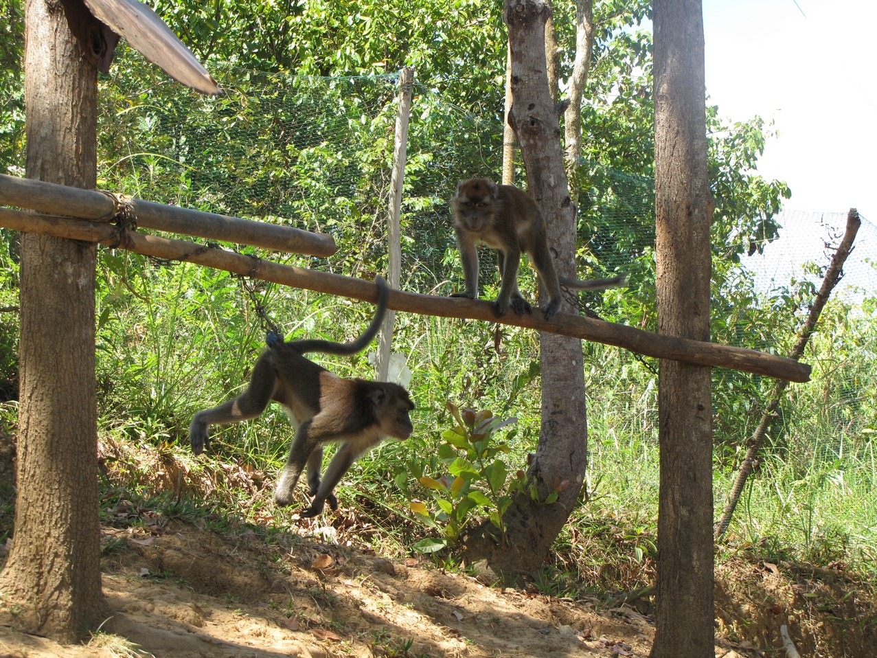 [IMG_82864.jpg]