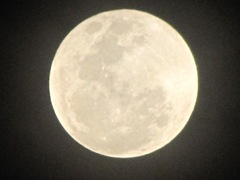 IMG_8548