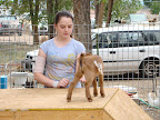 Kendra and the baby goat