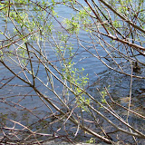 Davis Creek Fishing Derby - 2009