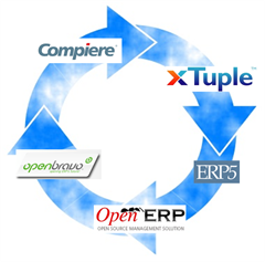 ERP cloud ring