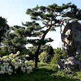 &ndash; Montreal - Jardín Chino