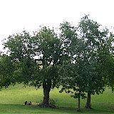  &ndash; Quebec - El campo de batalla